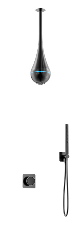 Two-function concealed shower set