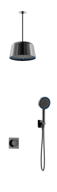 Two-function concealed shower set-30033