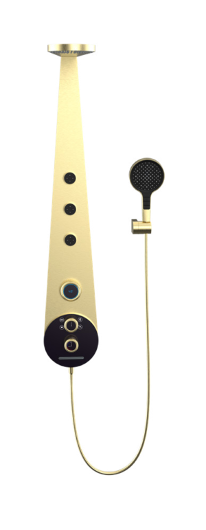 Four-function exposed shower head set-30043