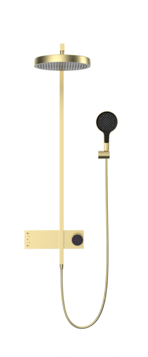 Three-function exposed shower set-30044