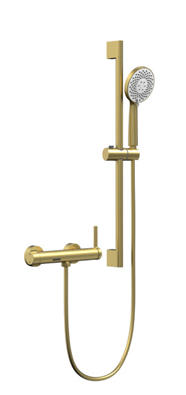 Two-function surface-mounted simple shower set-30074