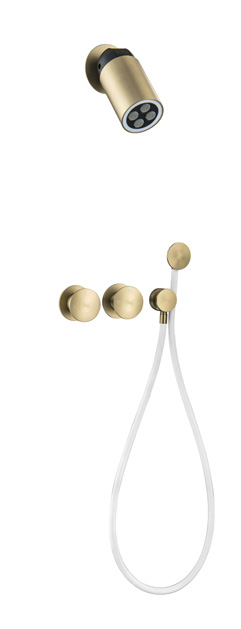 Two-function concealed shower set-30106