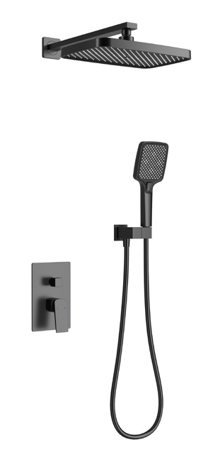 Two function concealed shower head set-30136