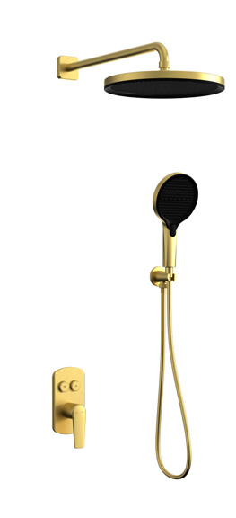 Two function concealed shower head set-2-Function In-wall Shower-30174