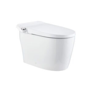 Elongated Smart Tankless Toilet with Bidet, Auto Flush, Heated Seat, Warm Wash/Dryer, Adjustable Water Temp, Foot Sensor Operation, Night Light, Remote Control