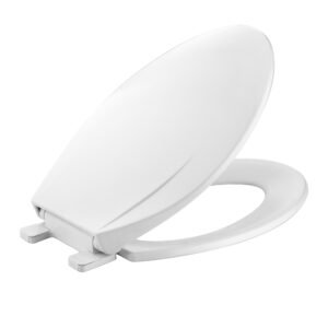 Slow Close Elongated Toilet Seat and Lid