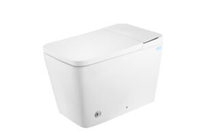 Elongated Smart Toilet with Bidet, ADA Chair Height, Digital Display, Heated Seat, Warm Air Dryer, Adjustable Water Temp, Feminine Wash, Night Light